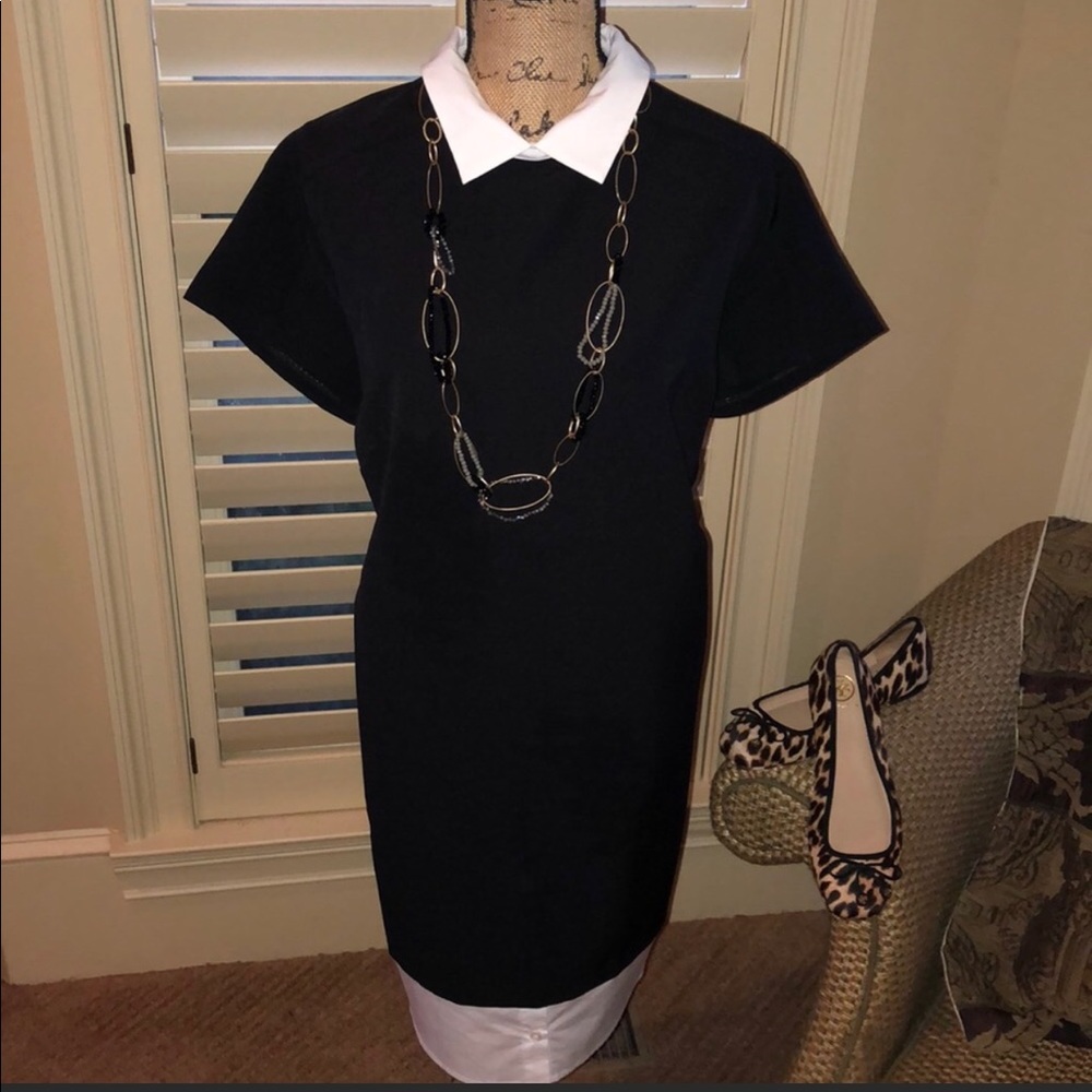 Eloquii shirttail dress, worn once, dry cleaned